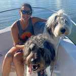 /images/dogs/372/Benji_on_Boat-crop.jpg