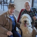 /images/dogs/374/Fergus_with_new_parents-crop.jpg