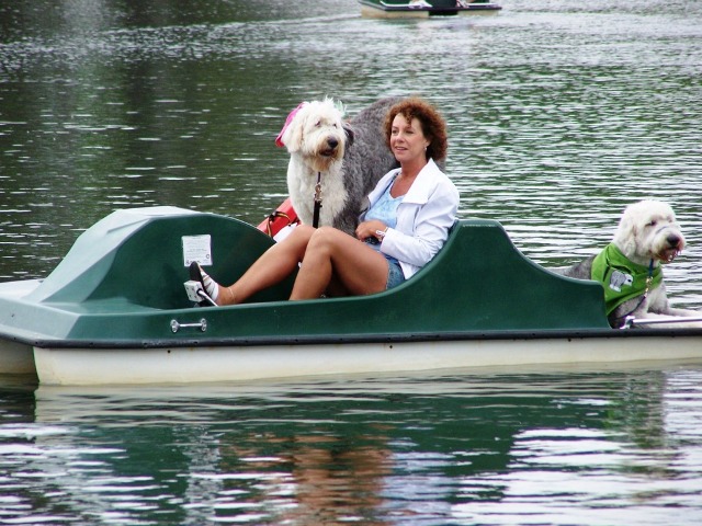 /images/events/12/paddleboat.JPG