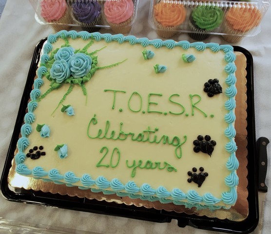 /images/events/120/picnic_20th_anniversary_cake.jpg