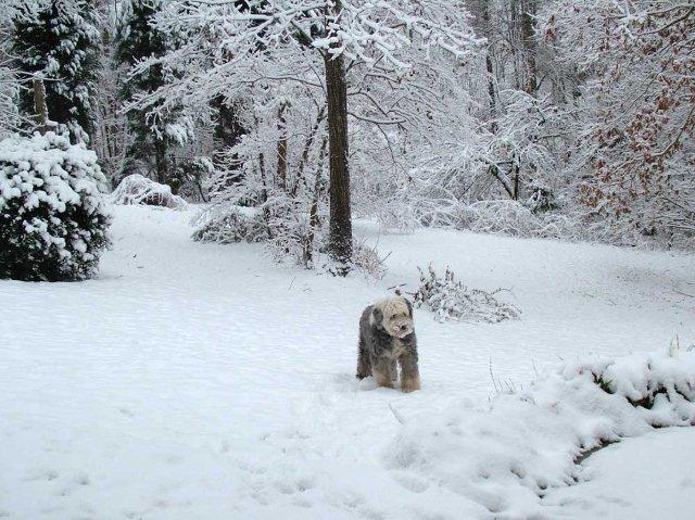 /images/events/37/Cass-in-snow-Xmas-2010.jpg