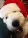 /images/events/51/rishi_christmas_2013-thumb.jpg