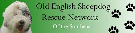 Old English Sheepdog Rescue Network